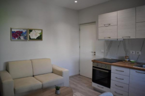 TAM Vasil Shanto Super Deluxe Apartment No2